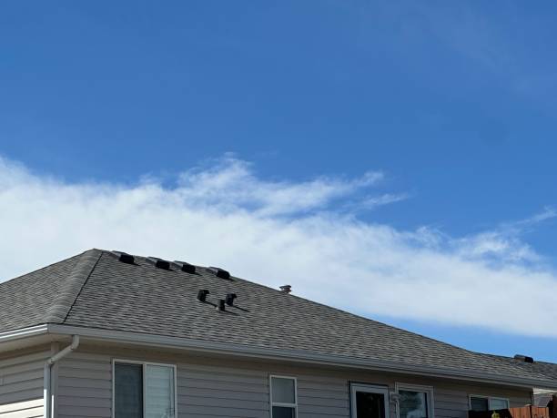 Best Asphalt Shingles Roofing  in Camp Wood, TX